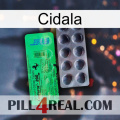 Cidala new04